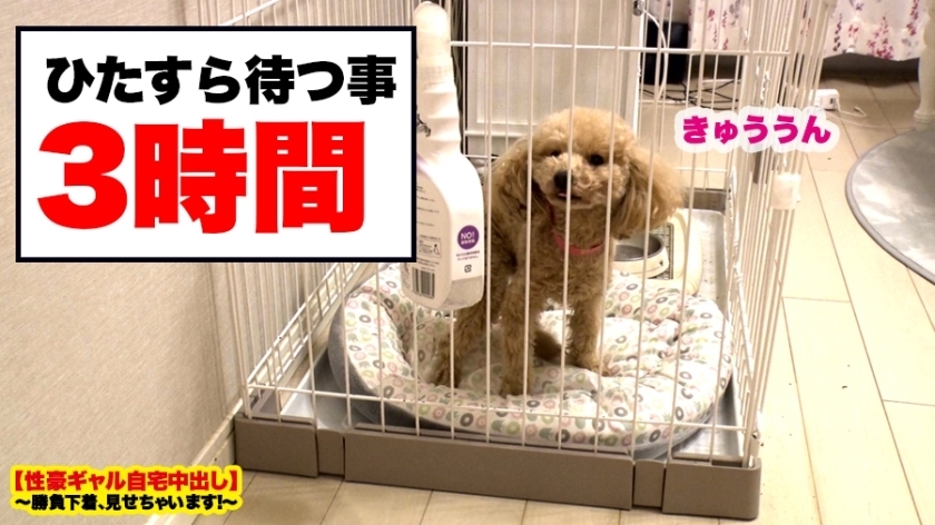 【過激エロ度ぶっちぎりNo.1】新宿で捕獲したFカップギャルの自宅に突撃！！ギャルとっておきの勝負下着SEX！！！射精しても射精しても無限にチ●コを欲しがるSEX中毒ギャルのイキっぷりを目撃せよ！！【性豪ギャル自宅中出し】勝負下着、見せちゃいます！vol.08  パッケージ