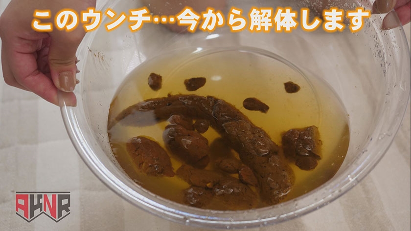 今日たくさんウンチでるかな… 初瀬かのん  パッケージ