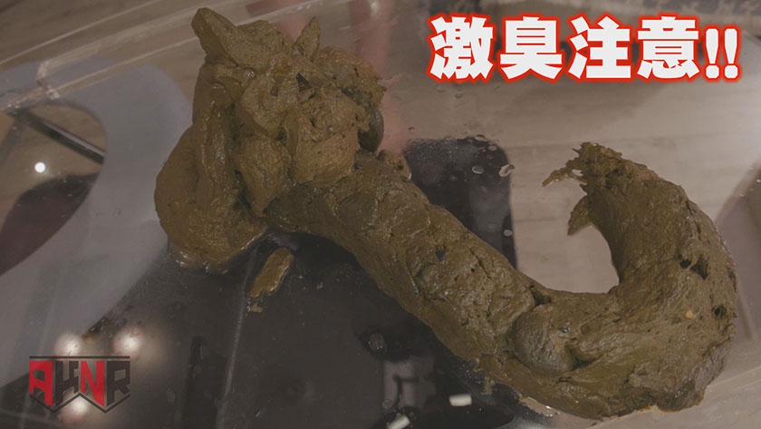 今日たくさんウンチでるかな… 初瀬かのん  パッケージ