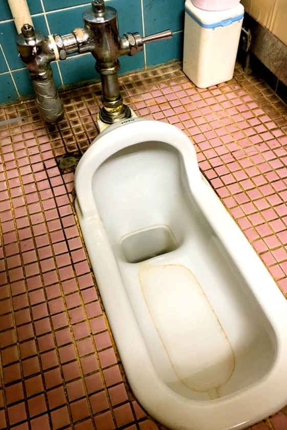 【VR】金隠しVR  パッケージ