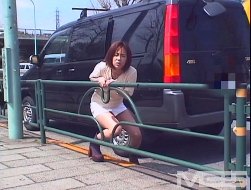 おもらし伝説 15  パッケージ