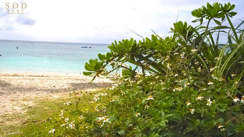 【夏といえば水着！SODstar全員ビキニ祭】ドキドキの初露出！アスリート 新海咲  南国イチャラブデートで露出SEX  パッケージ